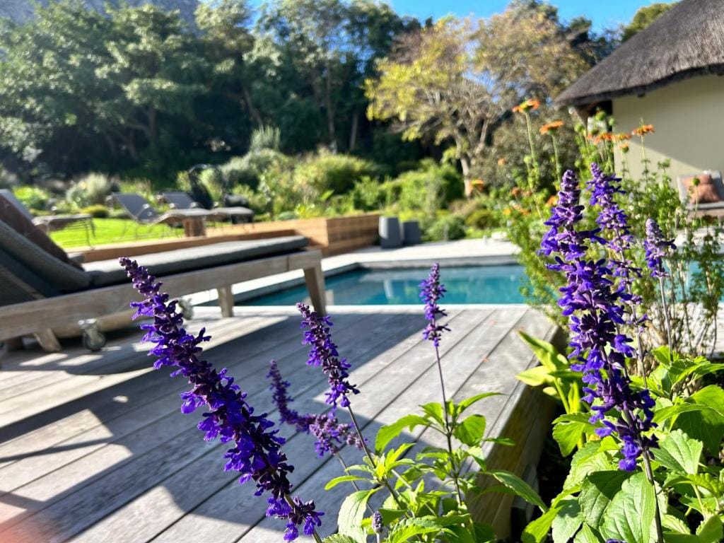 The Thatch House Boutique Hotel, Hermanus — 4