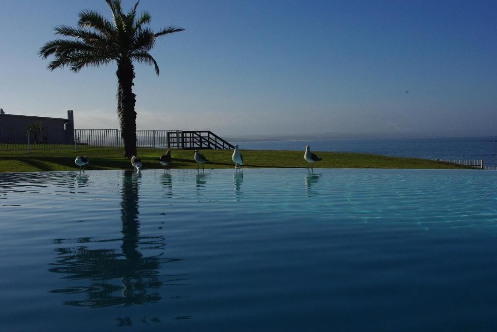 Beach Club Self Catering Apartments — 2