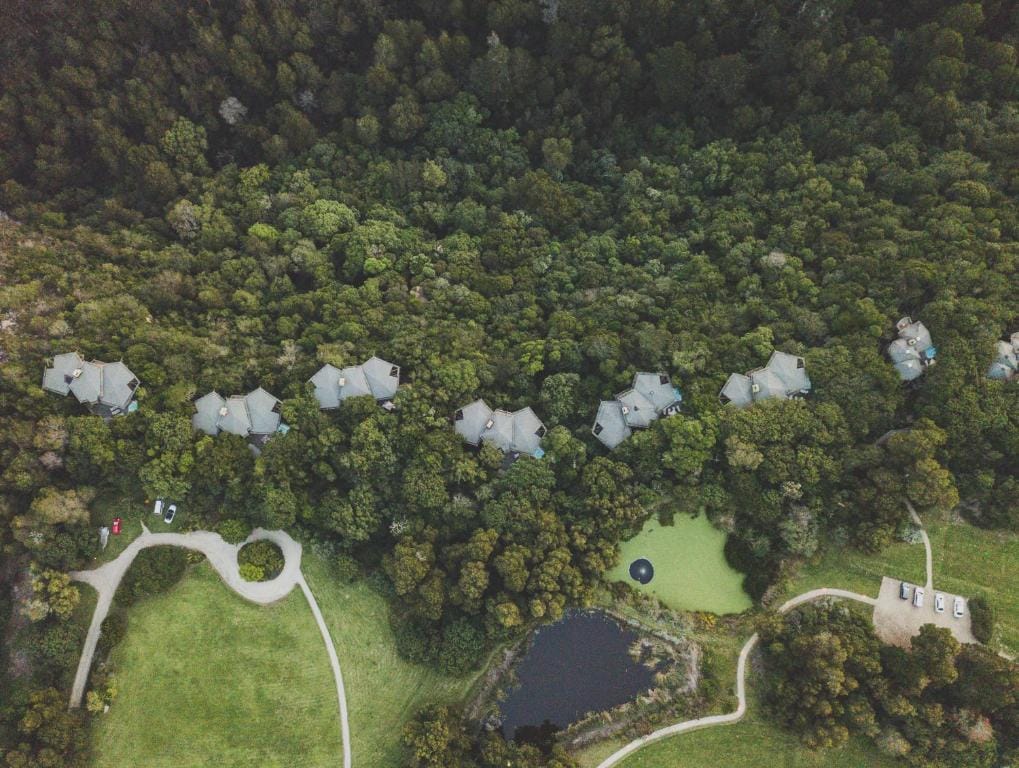 Tsala Treetop Lodge — 2