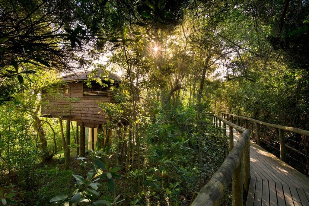 Tsala Treetop Lodge — 3