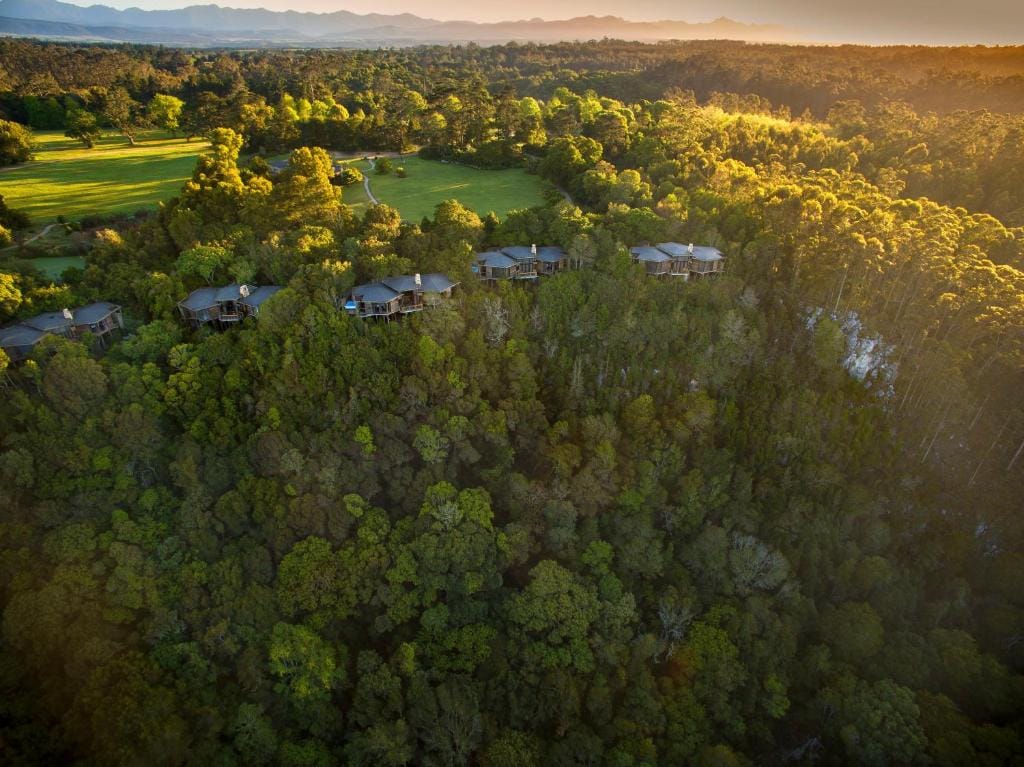 Tsala Treetop Lodge — 4