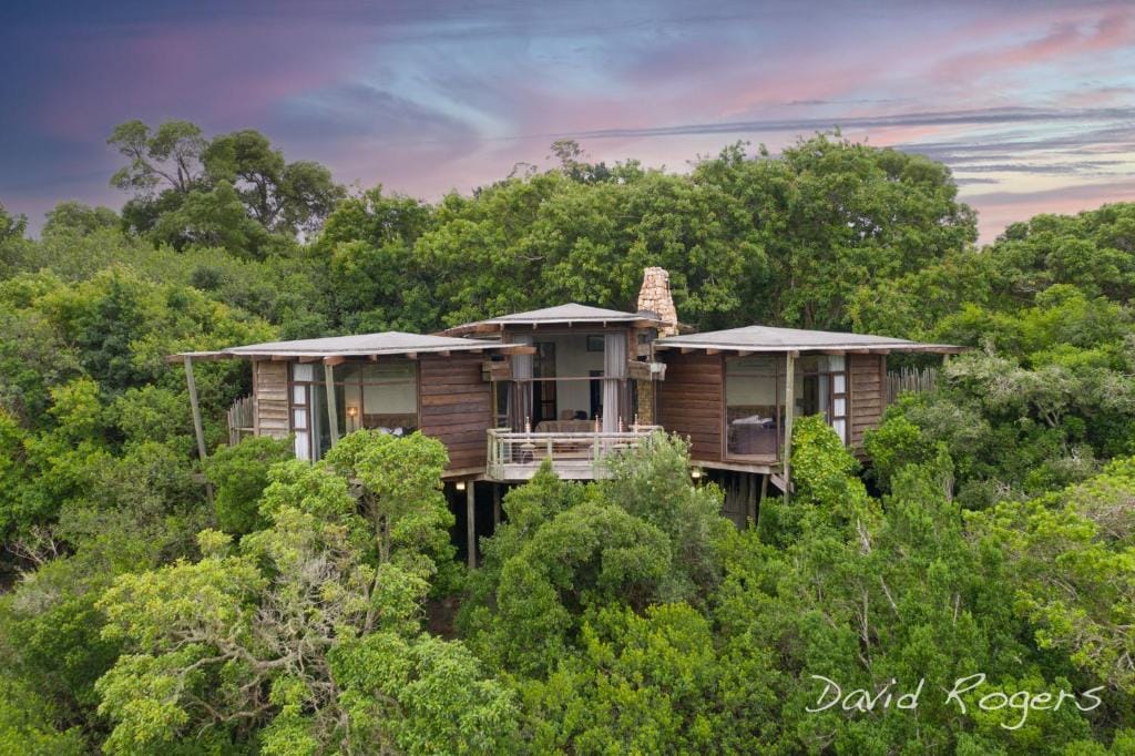 Tsala Treetop Lodge — 5